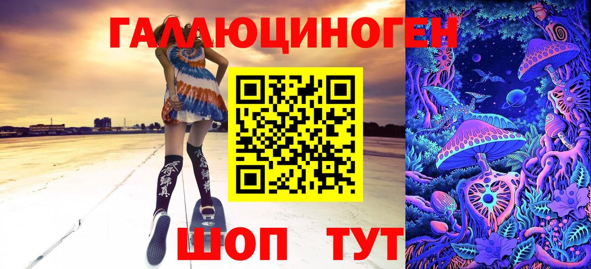 Псилоцибиновые грибы Cubensis Прохладный