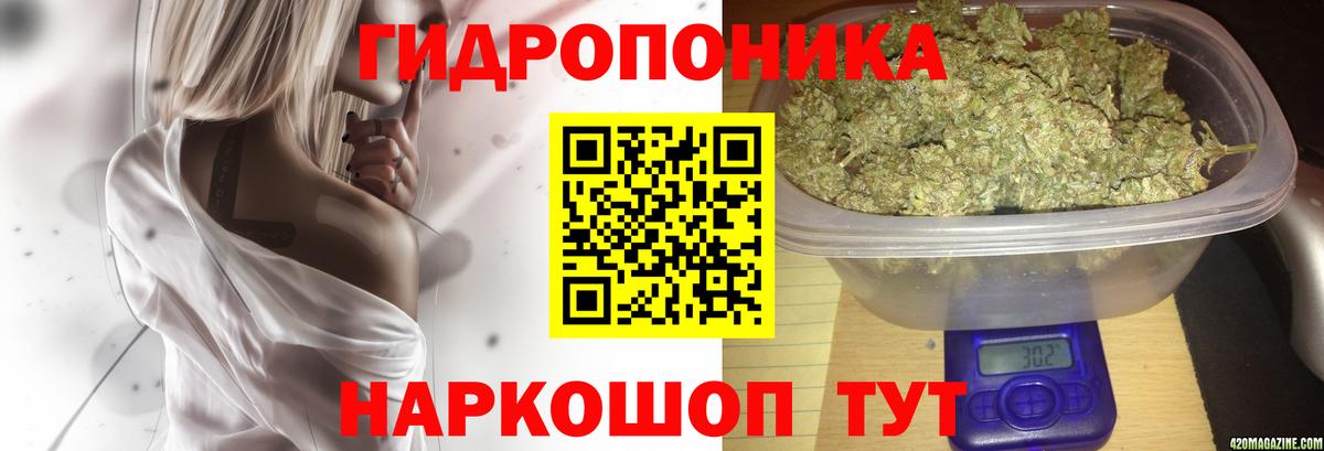 Шишки марихуана OG Kush  Каннабис Amnesia  МАРИХУАНА гибрид  Прохладный  Вход с VPN  Марихуана OG Kush 